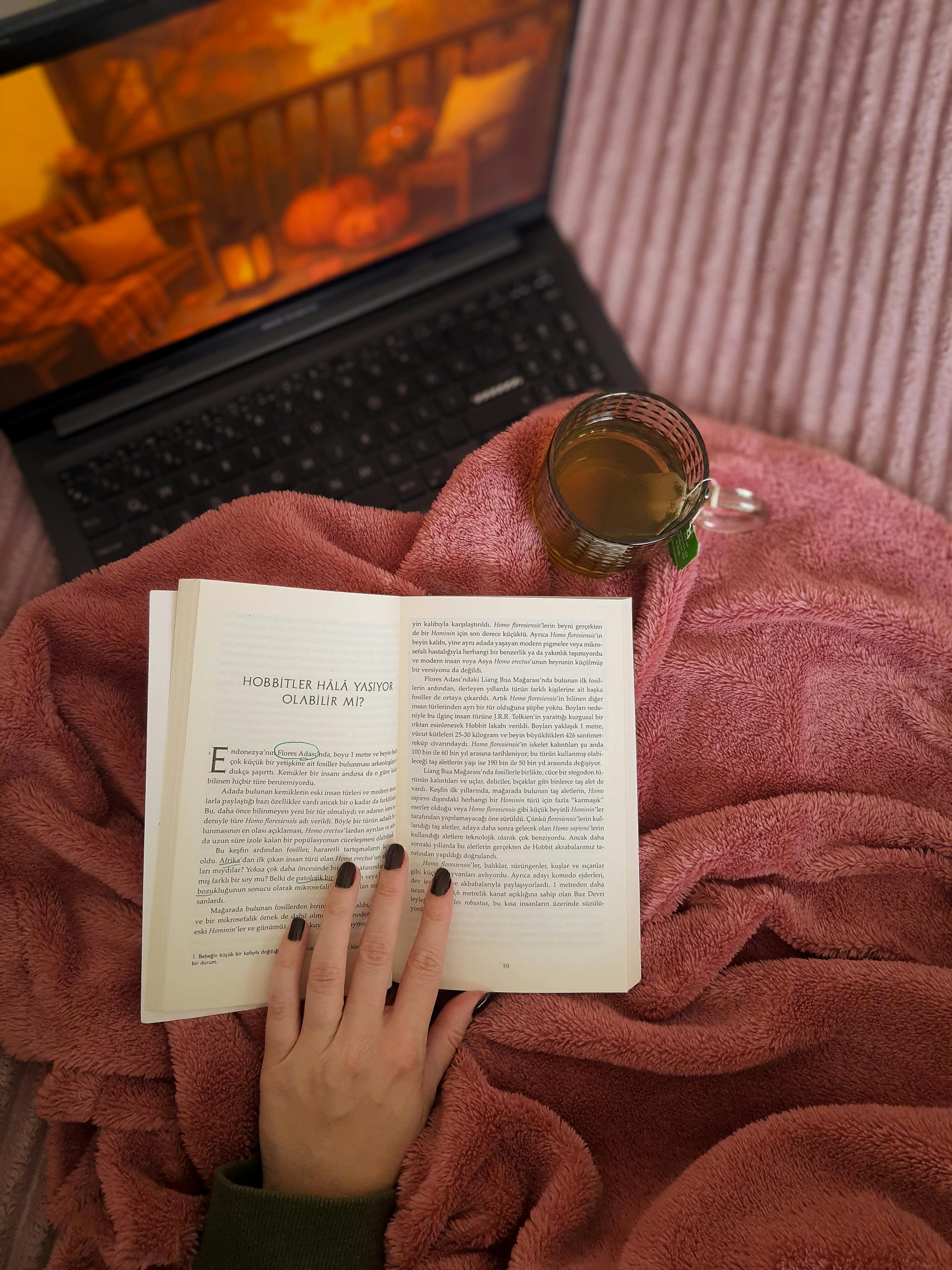 A cozy setting with a book, laptop, and tea on a soft blanket, offering relaxation and comfort.